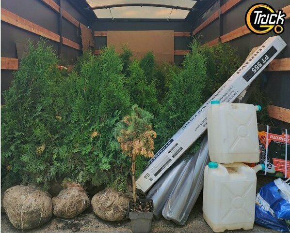 Перевозка крупных деревьев, высокий уровень нашей компании