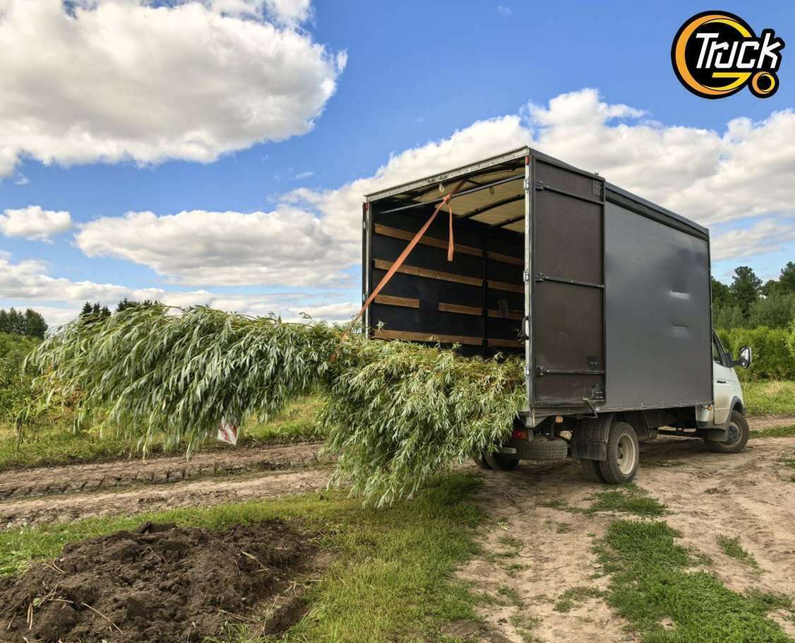 Вывоз деревьев и кустов до 6 м на Газели в Томске от 1500 ₽