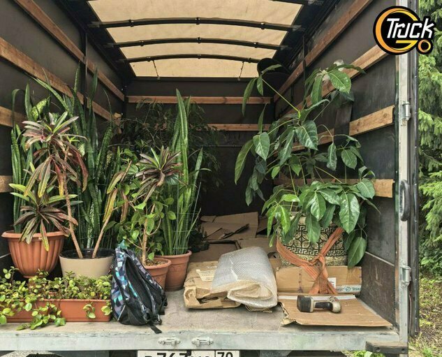 Перевозка декоративных растений  в любую точку