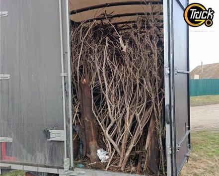 <span style="font-weight: bold;">Спиленные деревья, ветки</span>